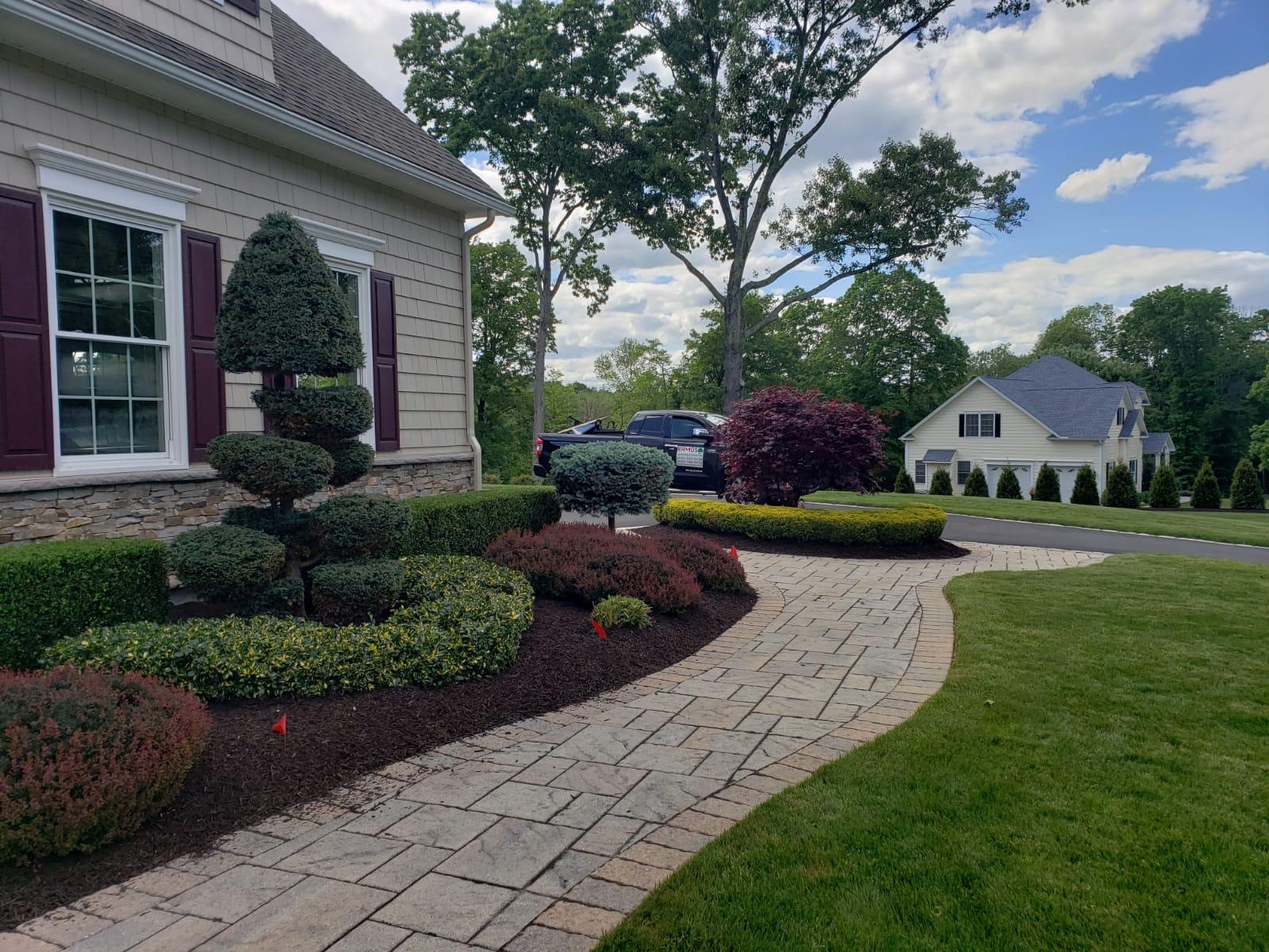 Front yard redesign with sculpted shrubs and paver walkway