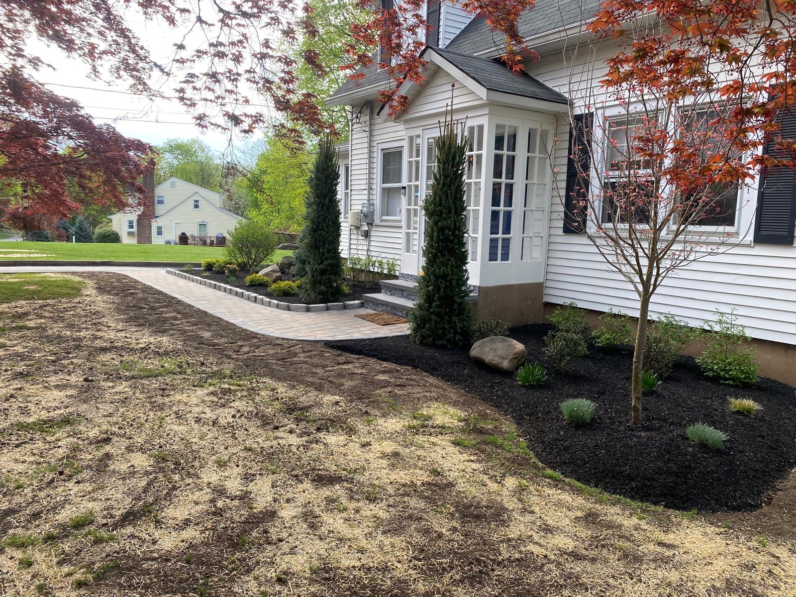 New arborvitae and shrub plantings along front of home with fresh mulch